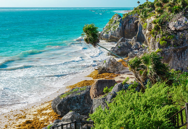 Private Transportation Cancun