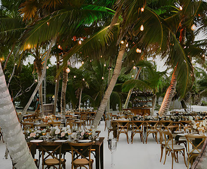 Event Transportation Tulum
