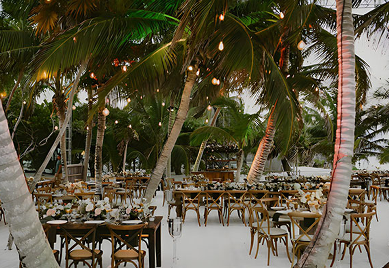 Event Transportation Tulum