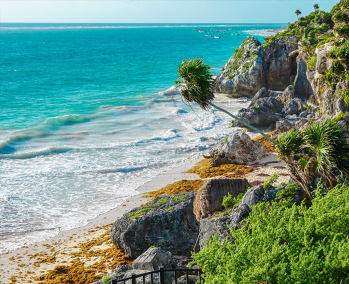 Private Transportation Tulum