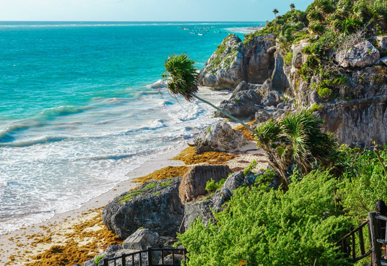 Private Transportation Tulum