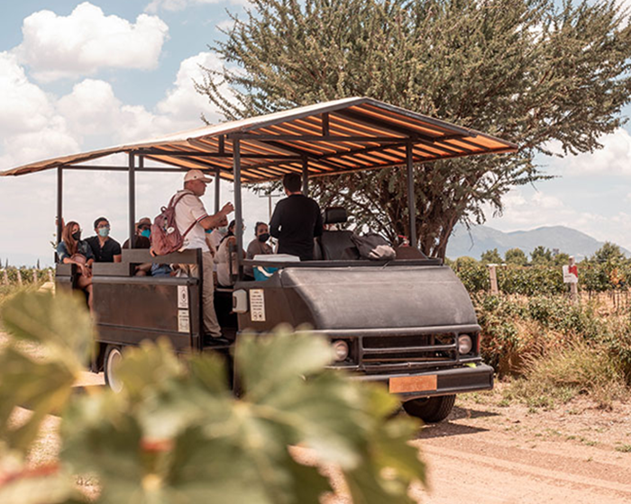 Wine Tasting& Tours 