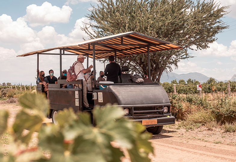 Wine Tasting& Tours 