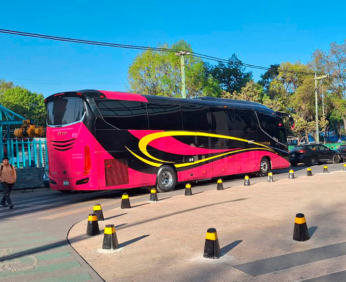 Bus Charters